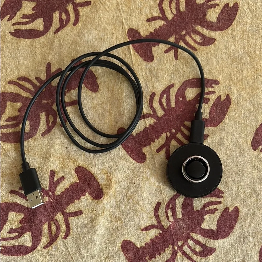 Oura ring Gen 3 horizon silver size 7